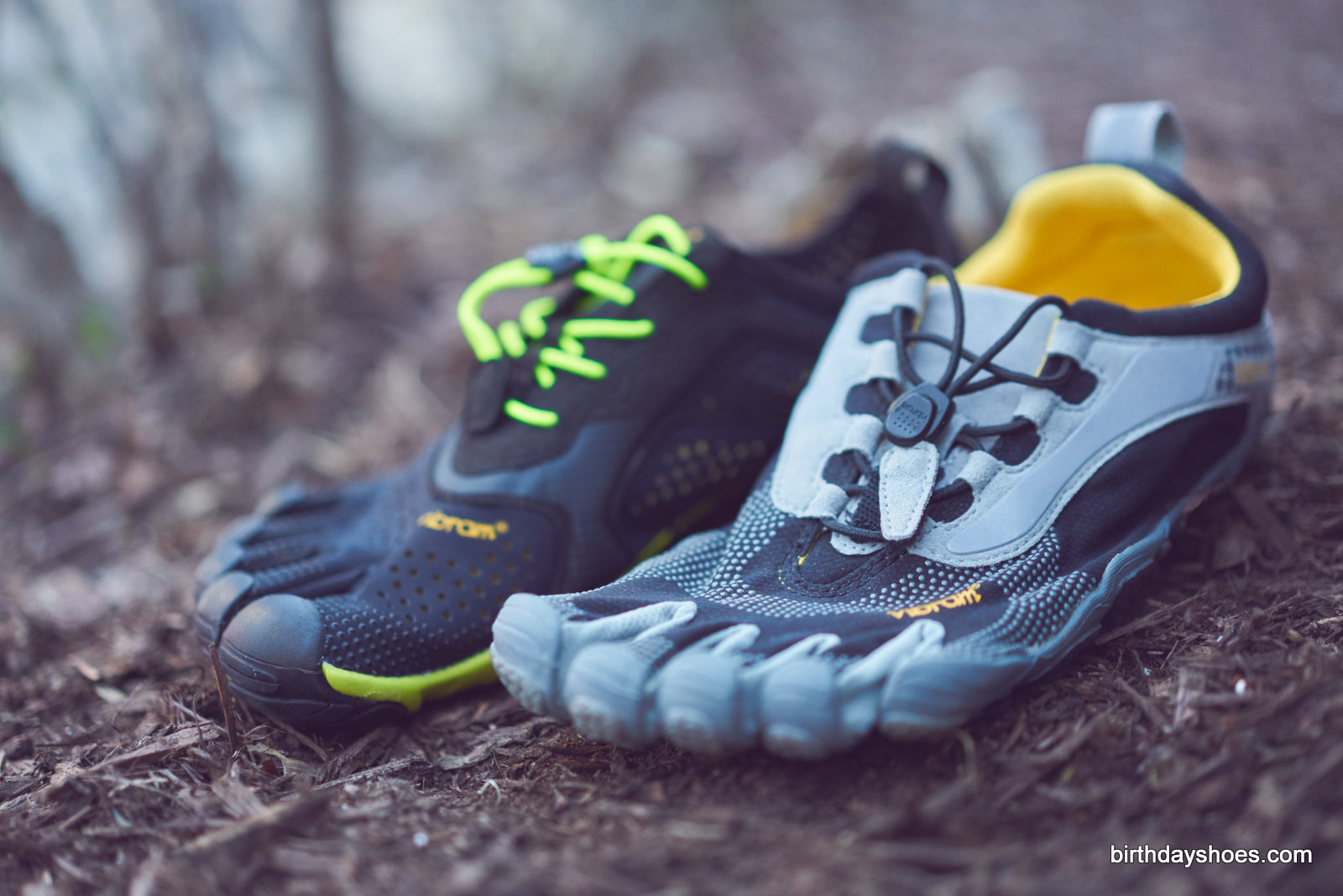 The V-RUN with its grandfather, the Bikila LS