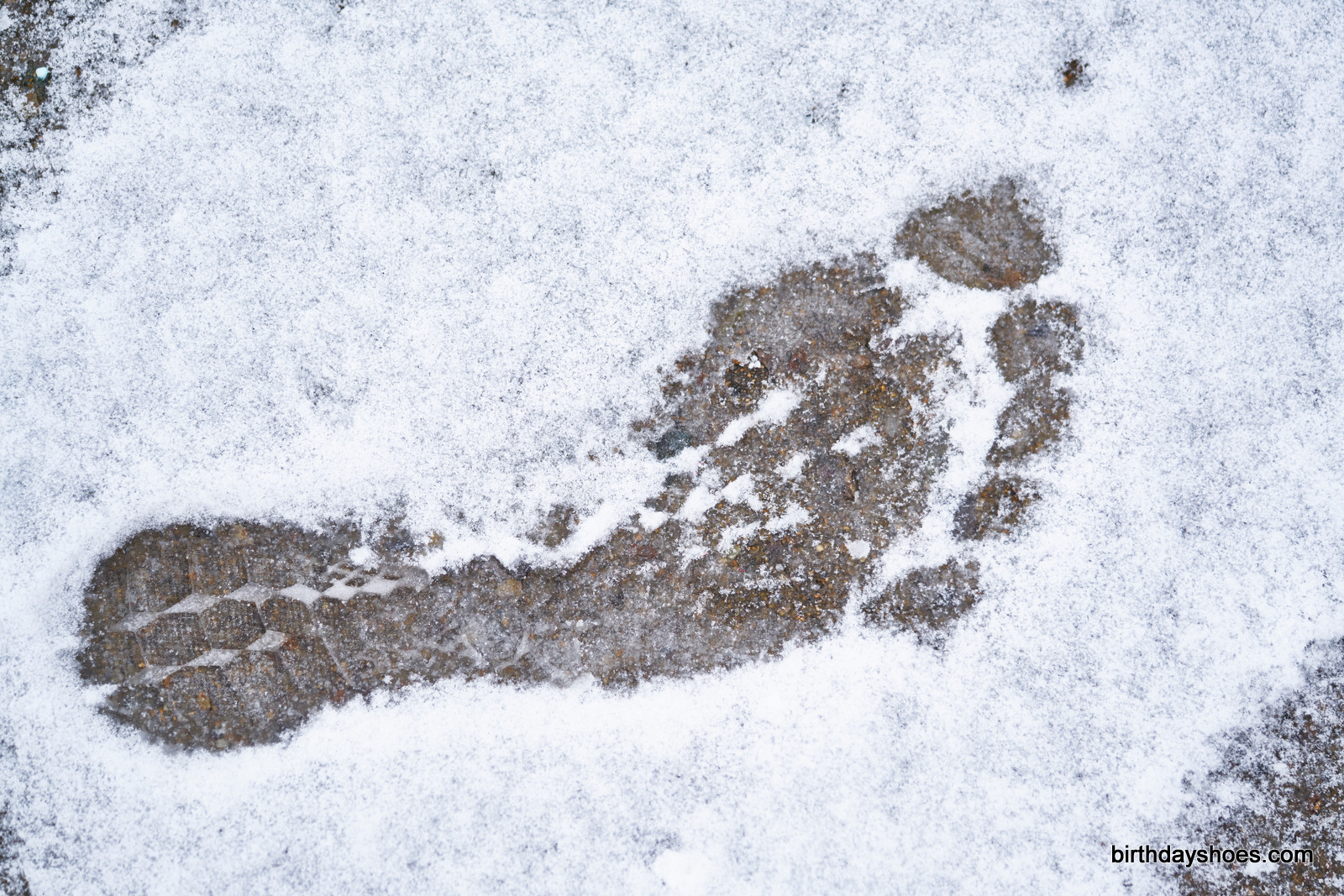 A primal footprint. There must be a fast yeti somewhere in beantown
