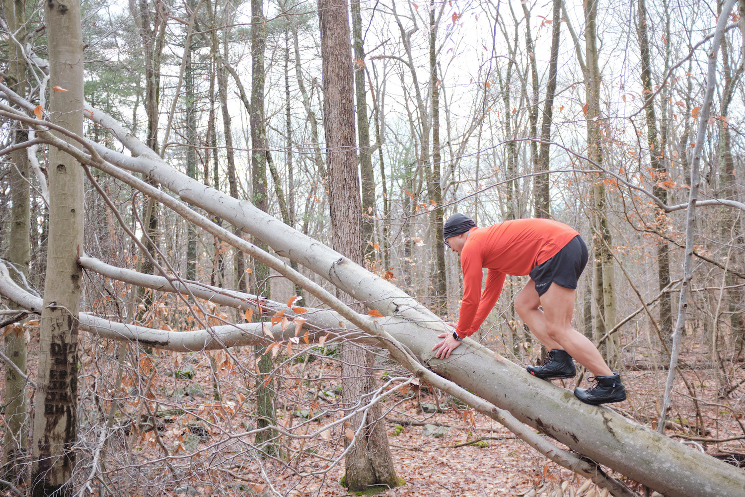  The Kuuva Trek is good for year round adventures!