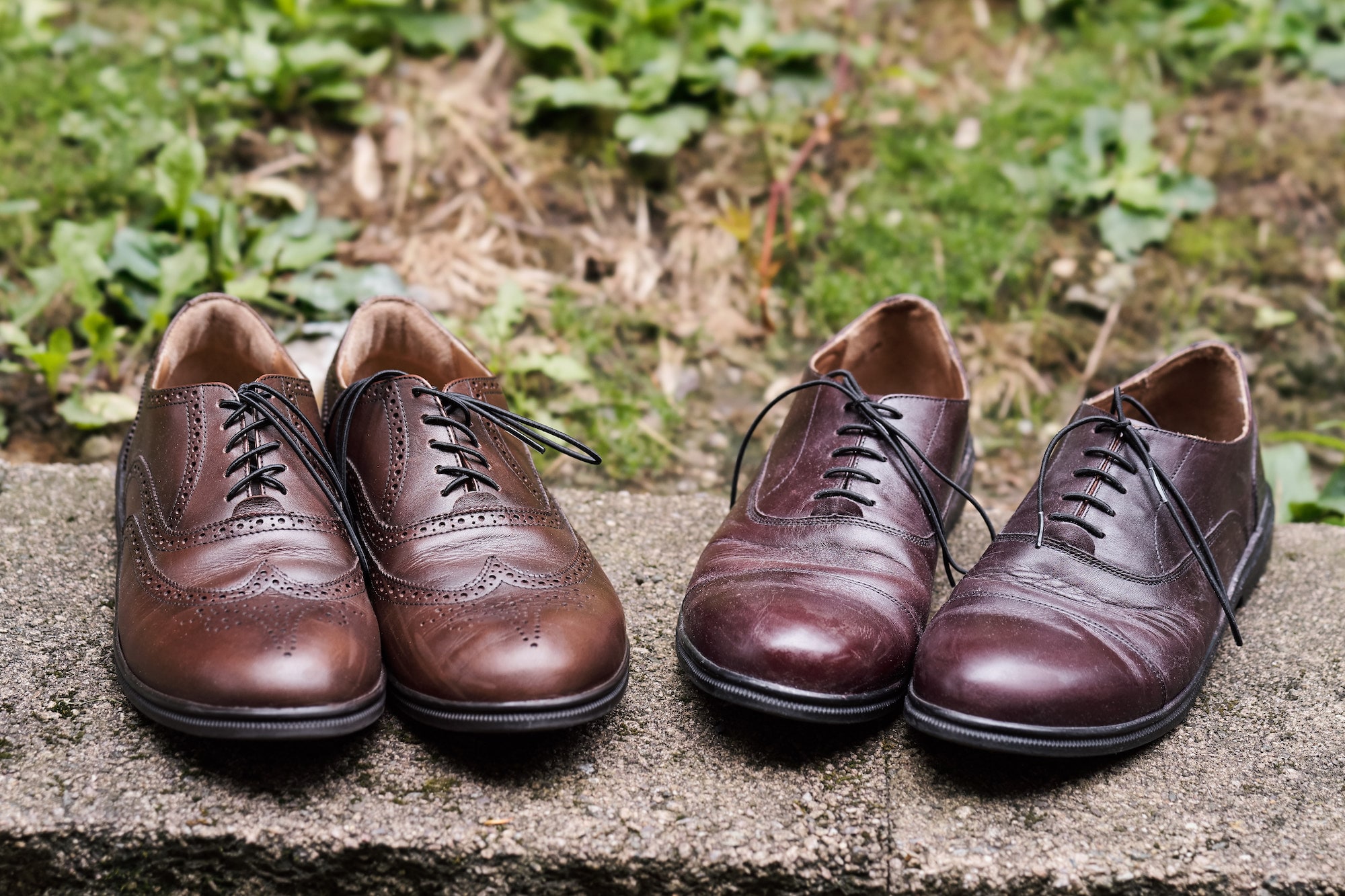  Falcon Wingtop with the FER V4