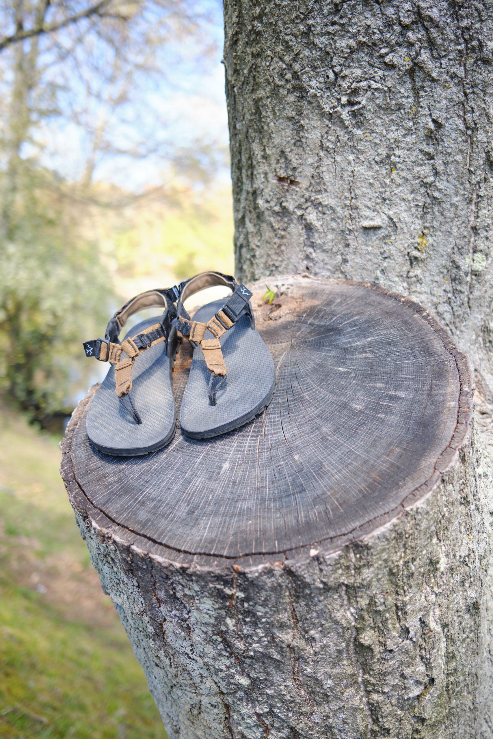 2020 05 05 16.54.38 Dscf0532