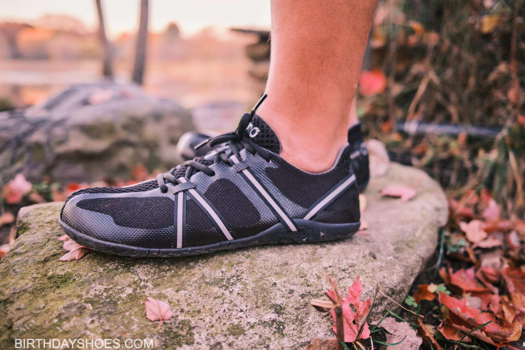 2020 11 08 17.06.07 Dscf0836 3