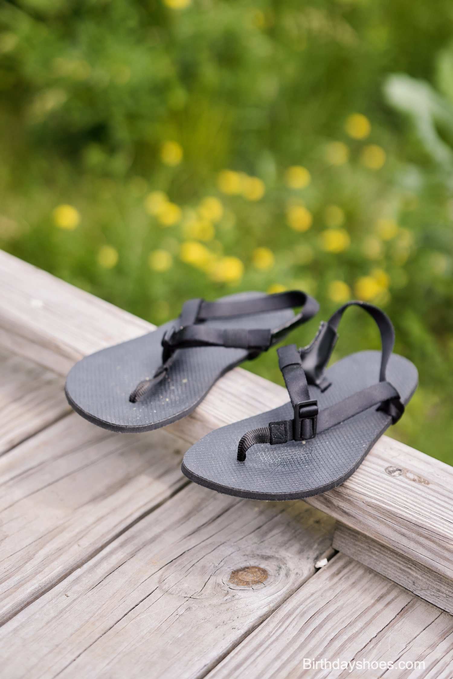 2021 06 22 11.01.20 Dsc05992 1