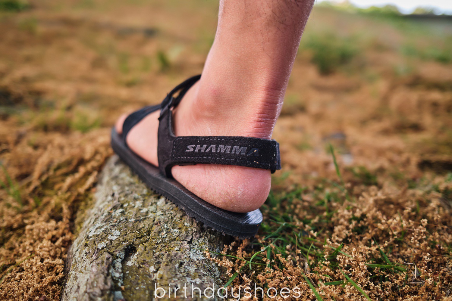 2022 05 25 18.55.55 Dscf6768 4