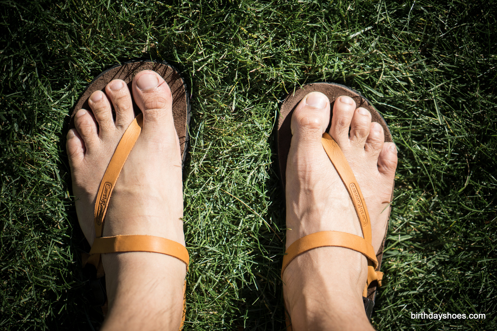 This is the Alpha X Earth Runner — note the similarity from above to the Circadian X.