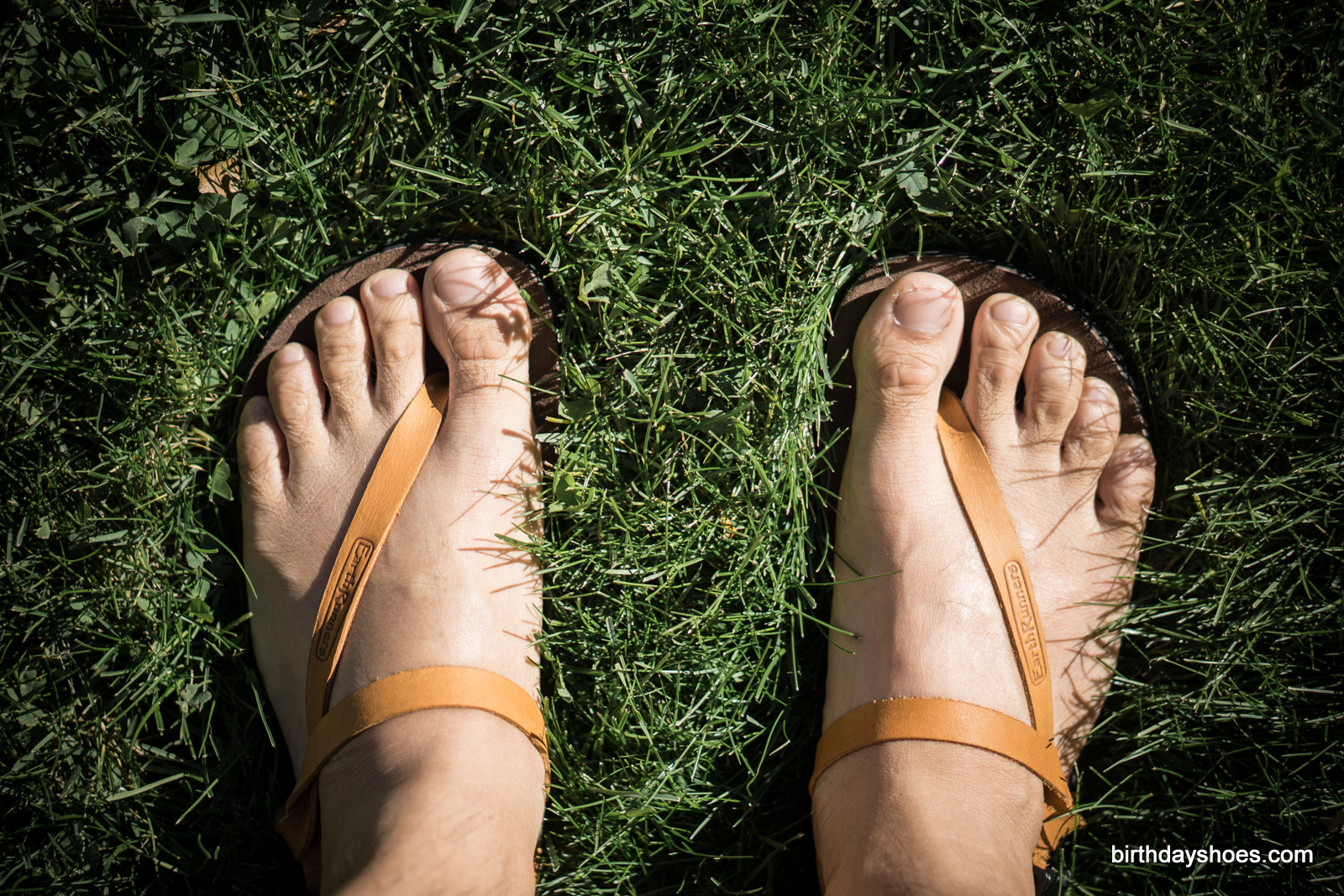 This is the Earth Runners Circadian X. Note that from above when worn on foot, the Alpha X looks effectively identical.