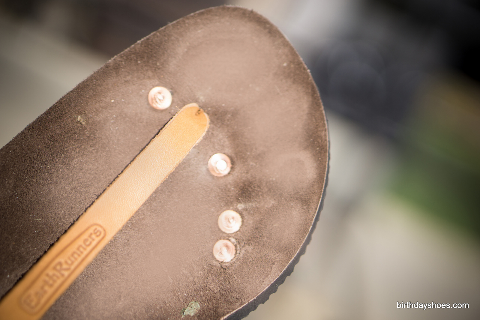 The footbed of the Circadian X; the only difference to the Alpha X is that the Alpha X lacks the copper inserts