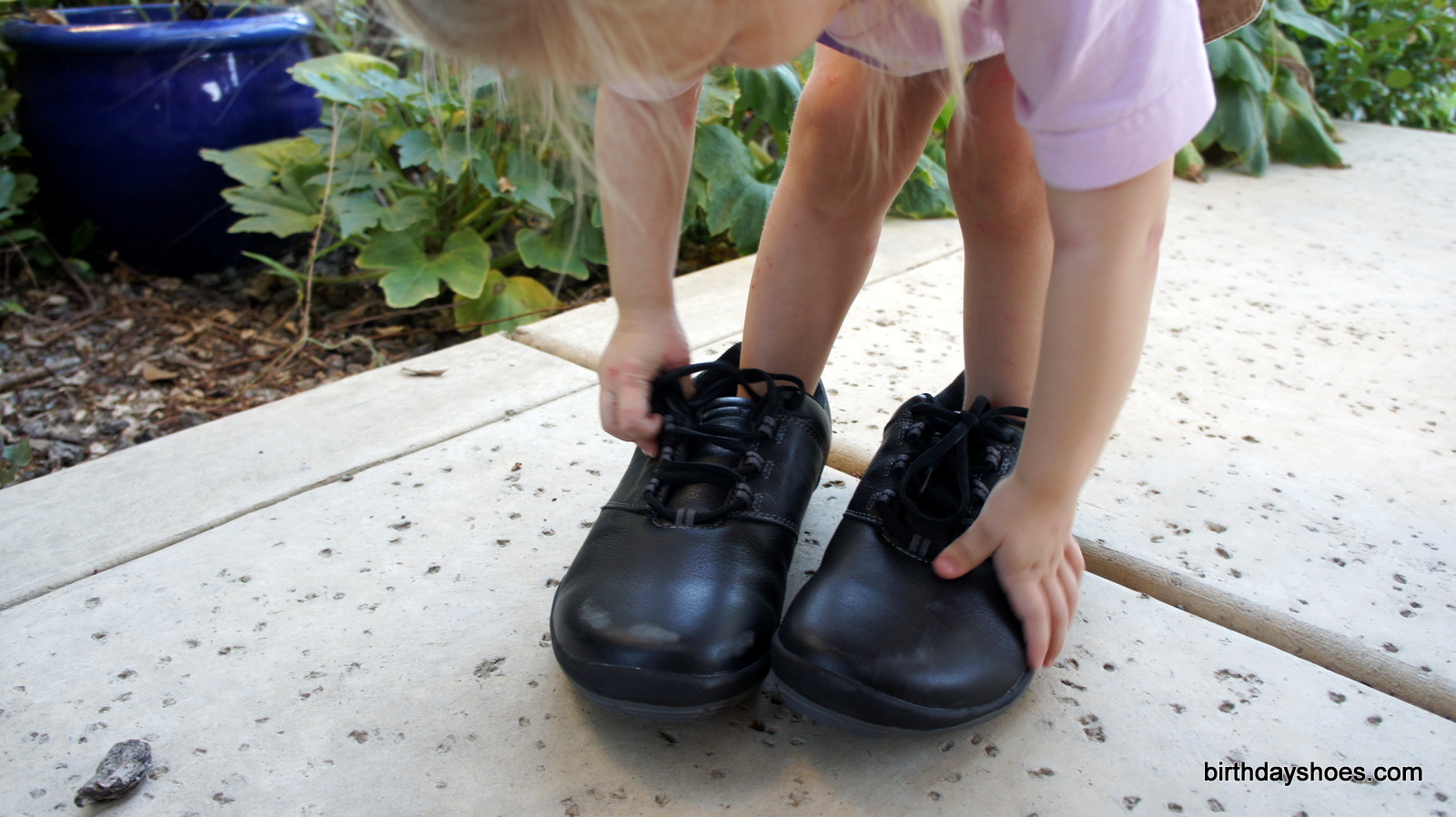 My eager assistant helping test out the updated TRUE tour