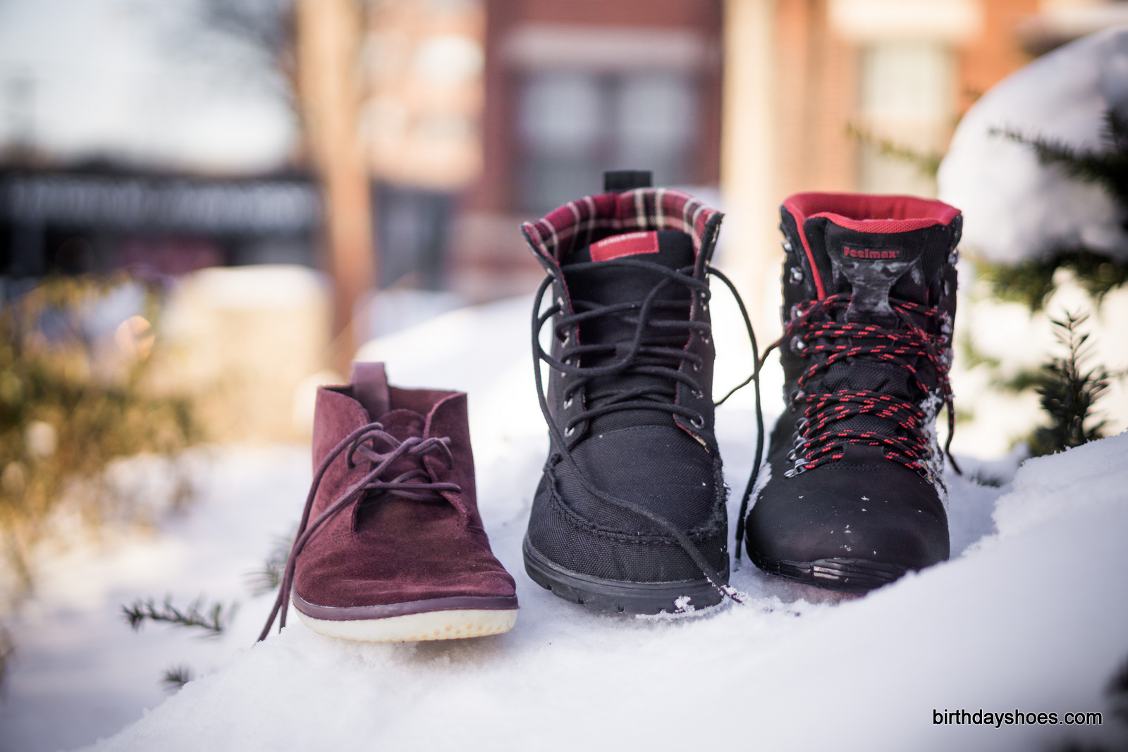 From left to right, the VivoBarefoot Gobi, the Lems Boulder (in black), and the Kuuva 3.