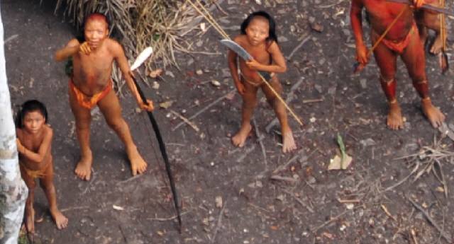 I'm not sure these feet would even fit in some of the most generously-sized "barefoot shoe" toe boxes.