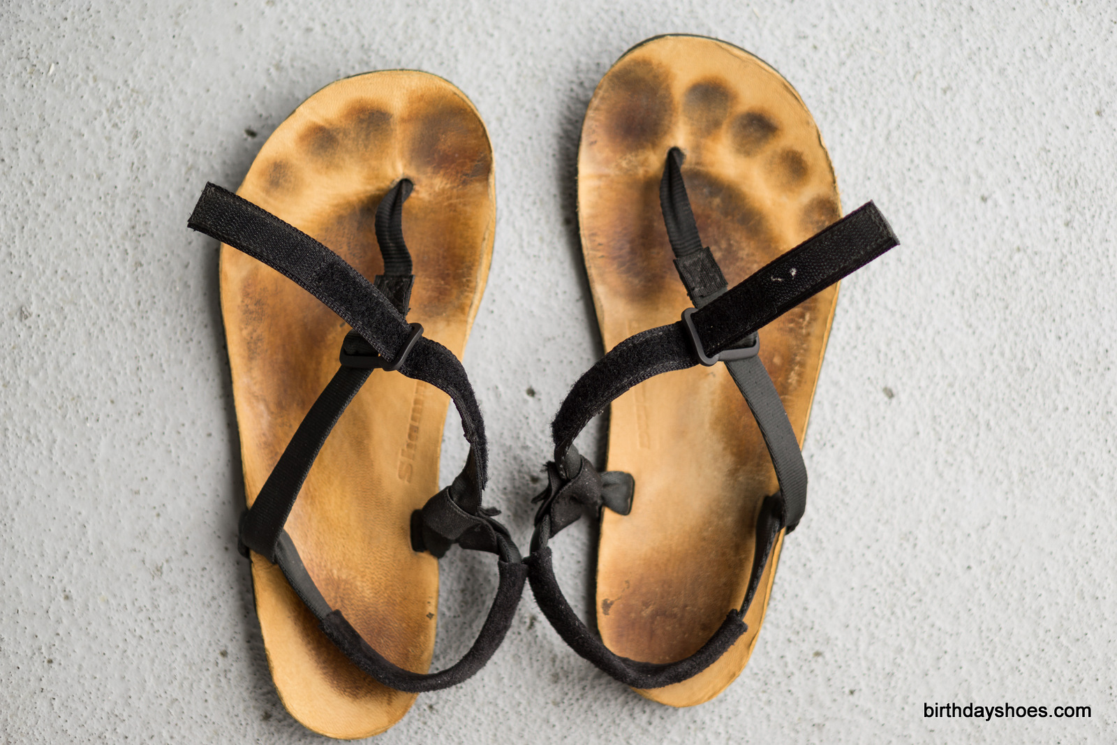 The Jerusalem Cruiser.  Note the lacing is the same with the JC as the Warrior.