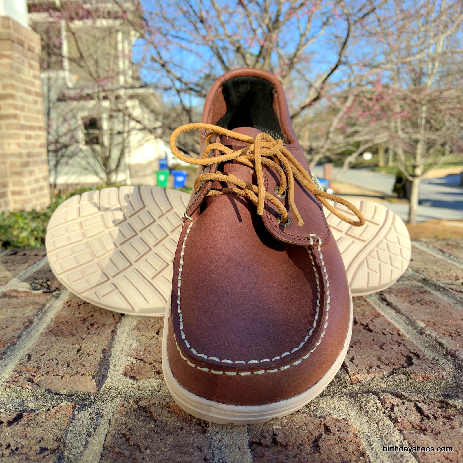 The Lems Mariner in Walnut