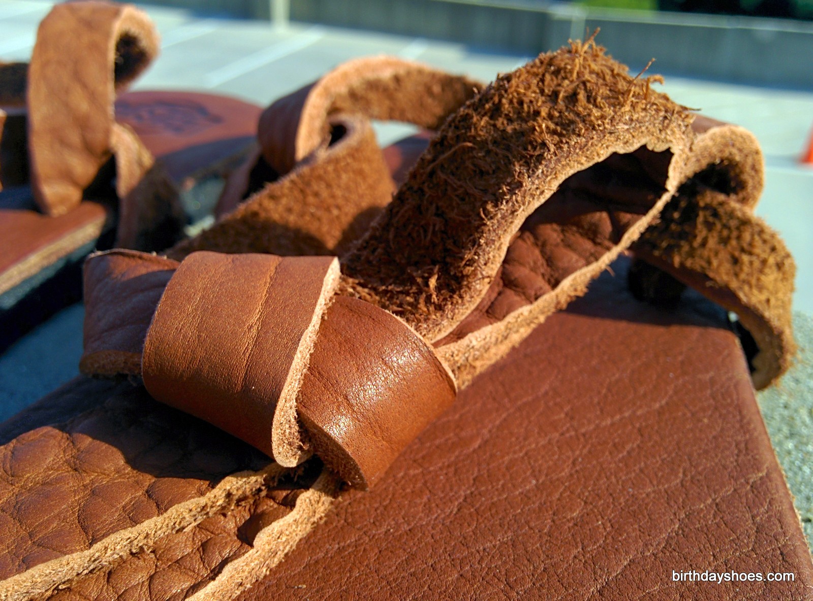 Look how furry that American Bison suede is!