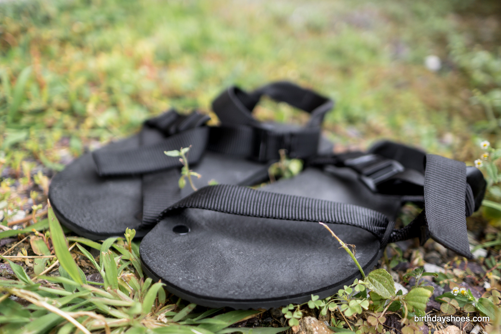 The Unshoes Pah Tempe at rest.