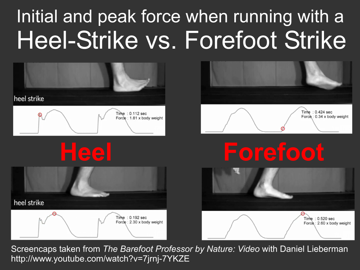 Results of Daniel Lieberman Barefoot Running Research