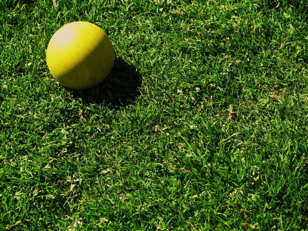 Lacrosse Ball Stretches