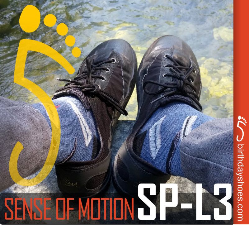 Sense of Motion SP-L3 Review
