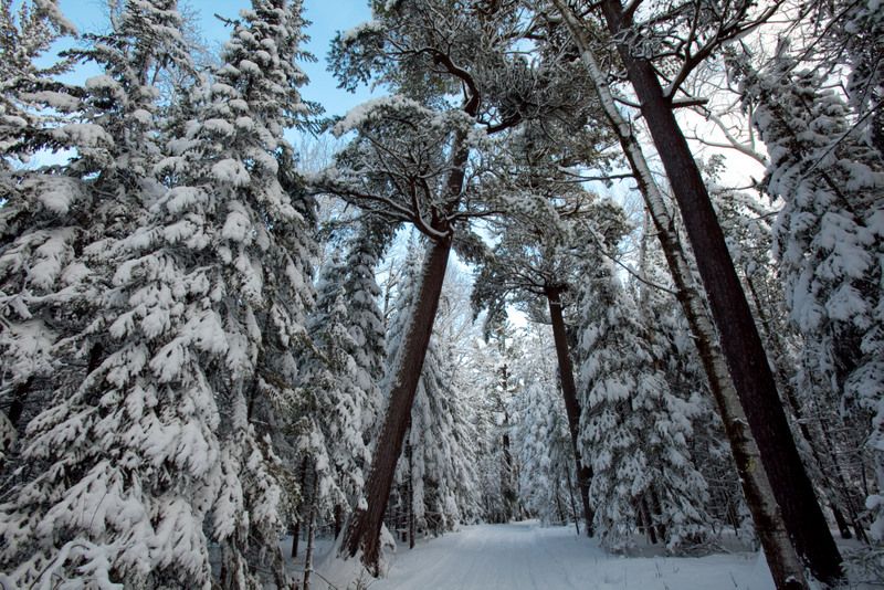 Winter Running with O'Neill Reactor Reef Boots