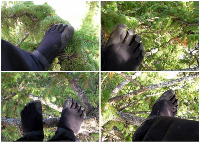 Tree-climbing in Flow Five Fingers with Jerald