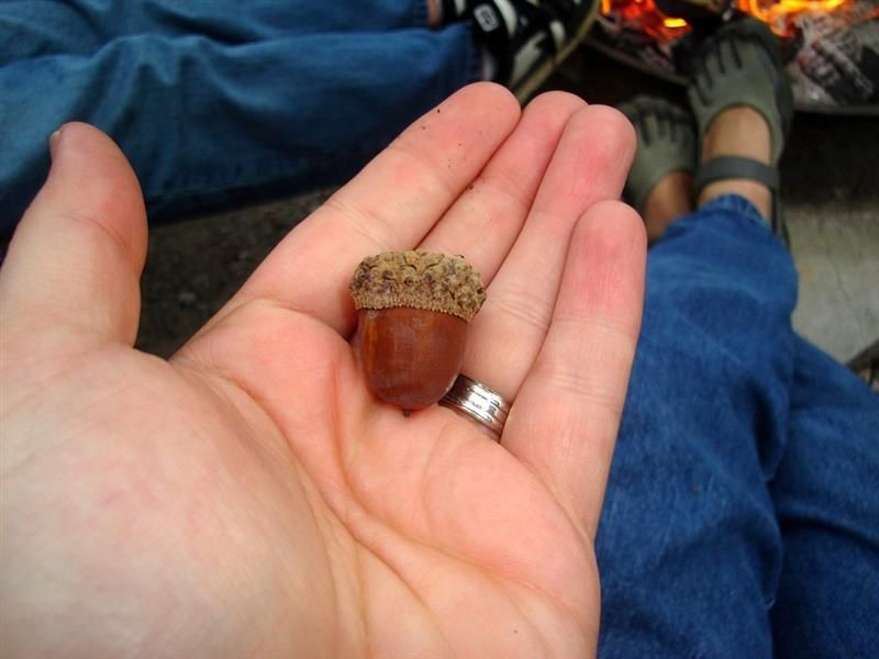 "Barefoot" Michael Camps in Sprint Five Fingers