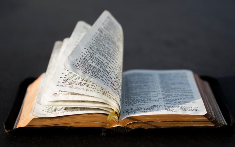 Thank You for Signing Up to Read the Bible Through in a Year