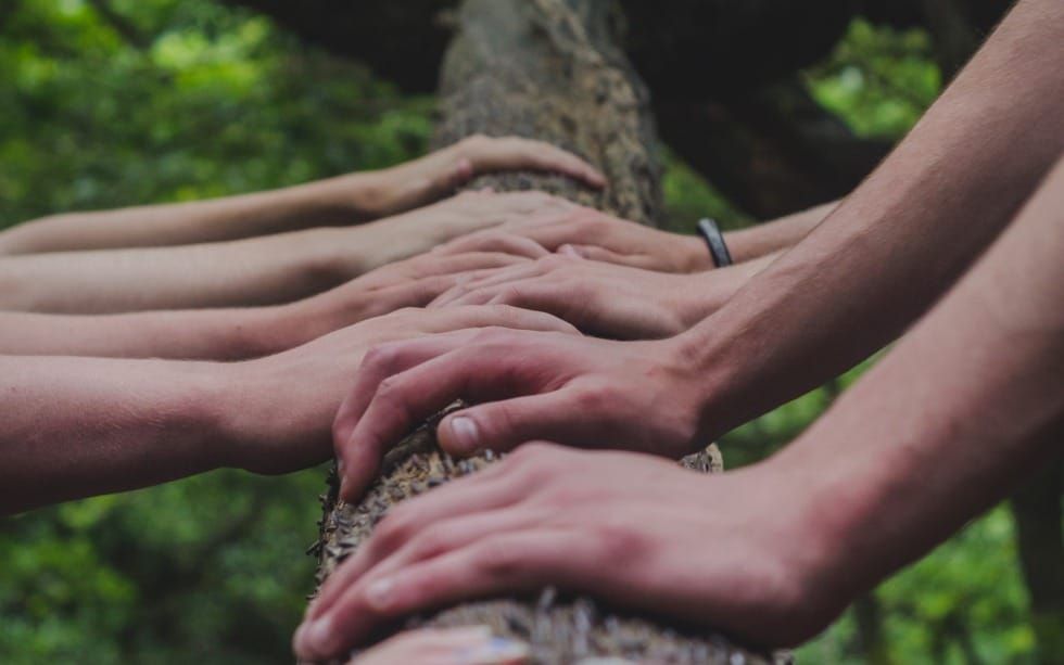 Why Are People So Different? (Genesis 10-11)