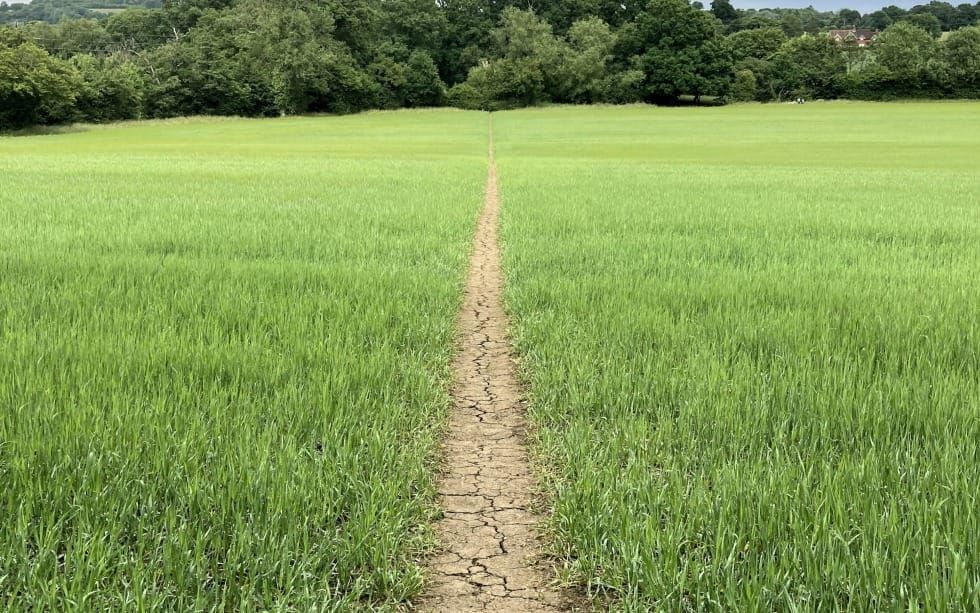 Trusting God with All Your Heart (Proverbs 3)