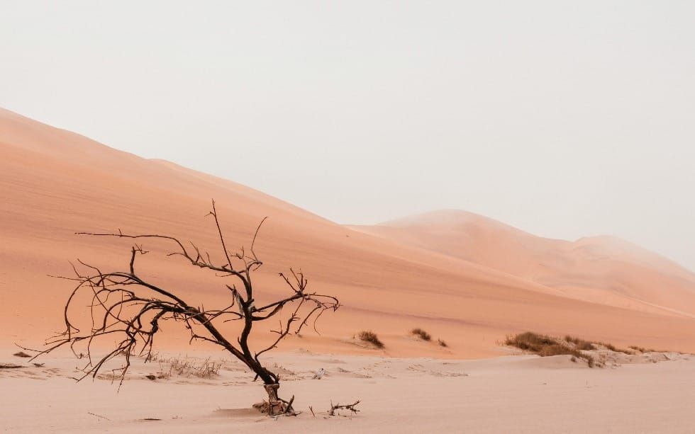 Why Do Things Get Harder Before They Get Better? (Exodus 5-12)
