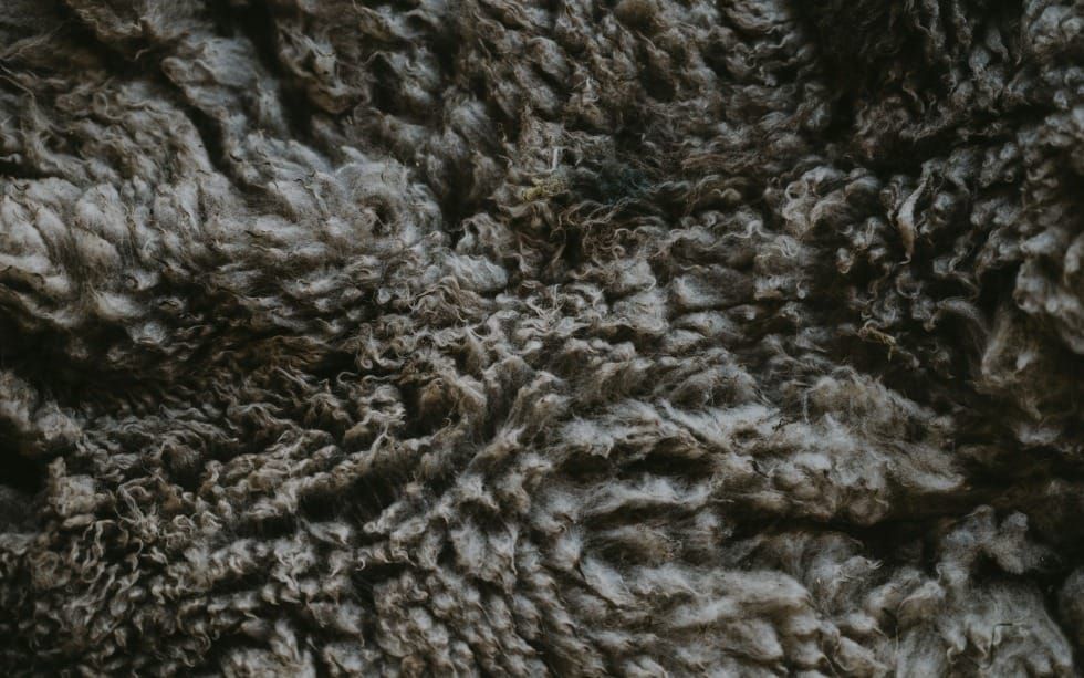 What are “Fleece Prayers” and Should Christians Pray Them? (Judges 6-10)