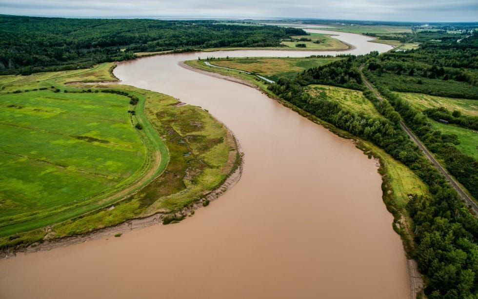 Am I Willing to Obey God Even If I Look Foolish? (2 Kings 4 - 8; 2 Chronicles 23 - 24)