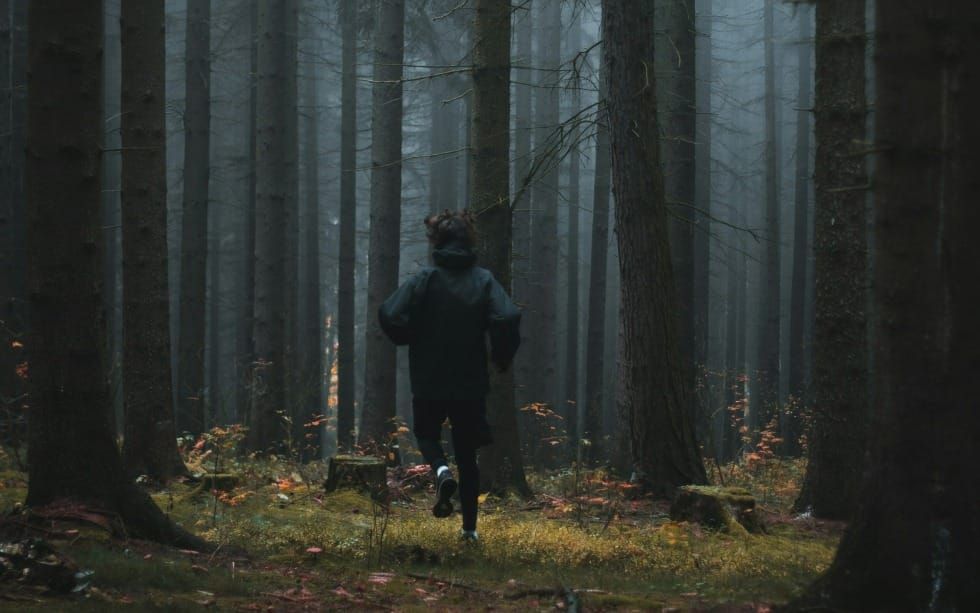 What Fear Taught Me About My Faith (Psalm 55-58)