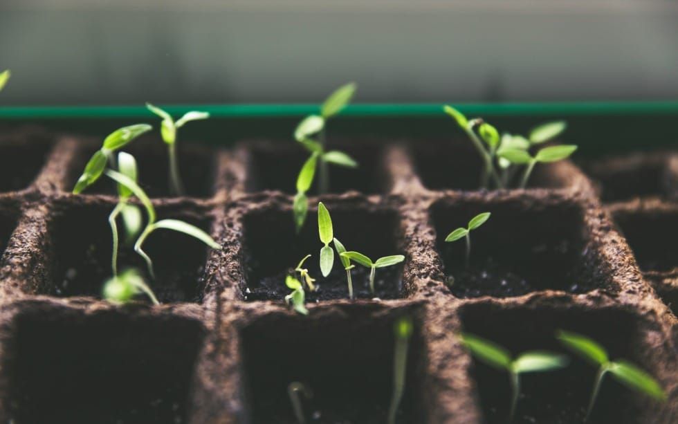 Three Keys to Grow Spiritually  (Ezra 7-10)