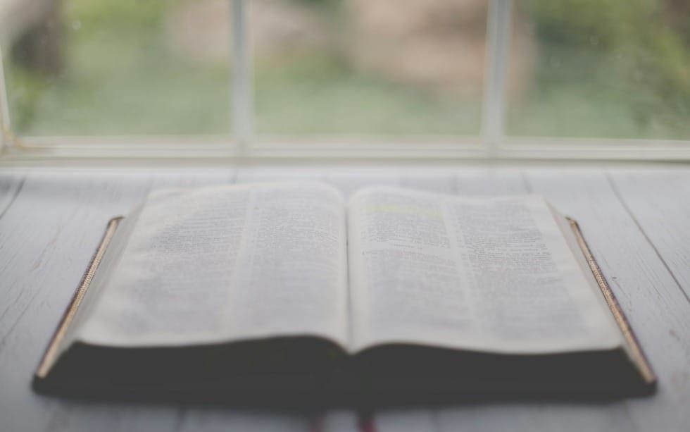 How Often Do You Seek God? (Psalm 102-105)