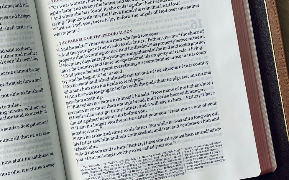 What is the “Real Story” of the Prodigal Son? (Luke 12-15)