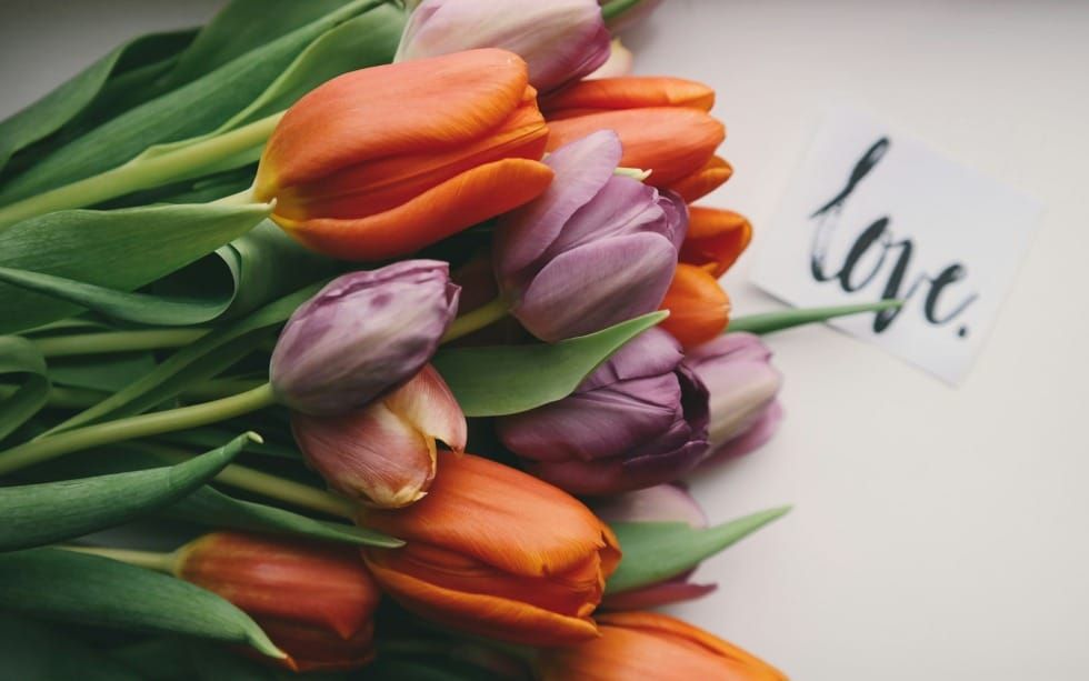 Intimate Love Involves Risk (Song of Solomon 5-6)