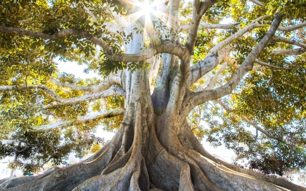 Live for Something Greater Than Yourself (Acts 19-20)