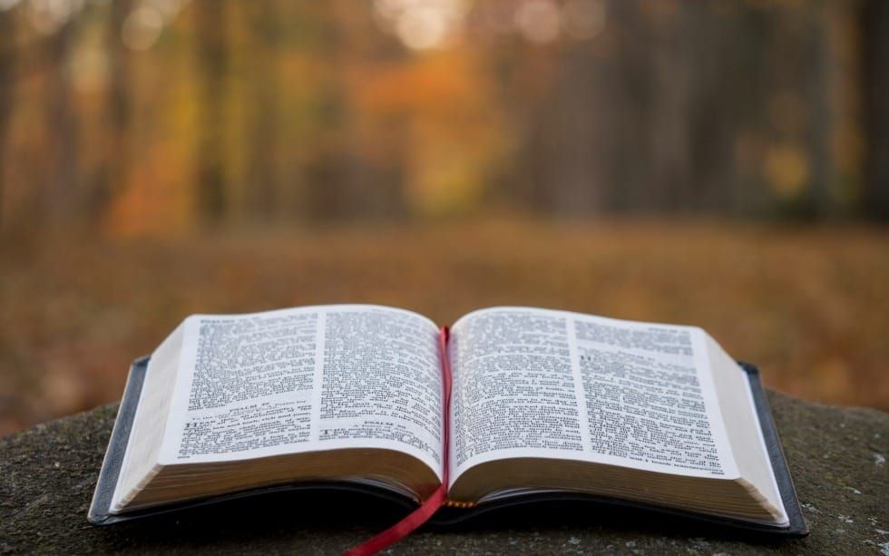 How Do I Gain the Right Perspective? (Job 38-42)