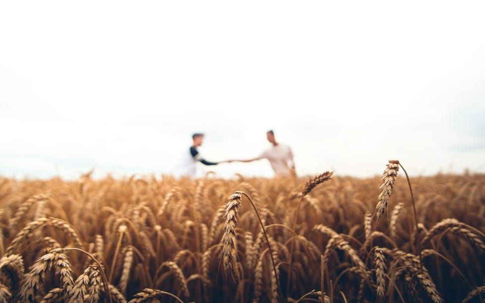 Why We Need More Farmers and Fewer Fighters