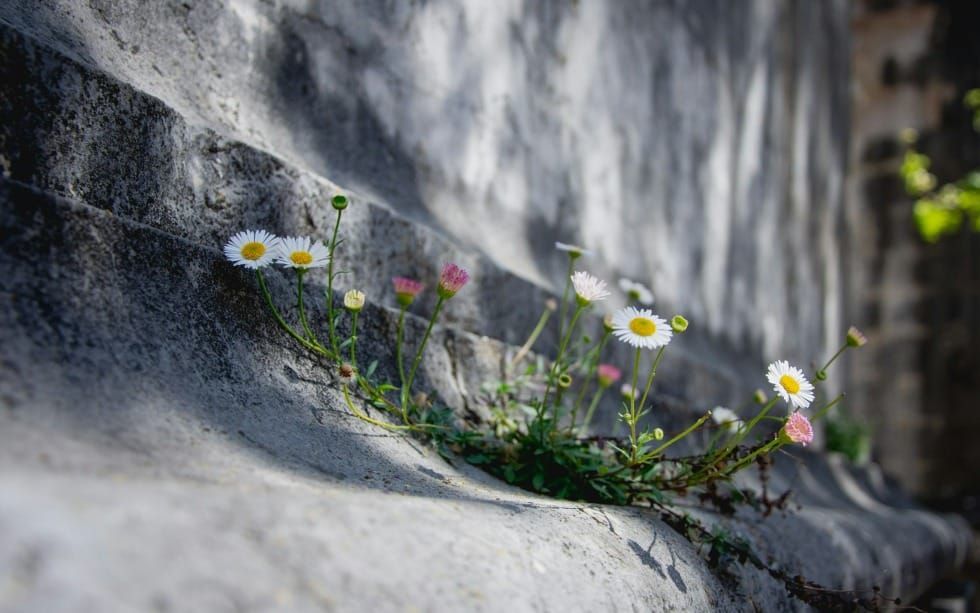 Repairing Relationships After Regret