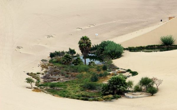 The Beauty of Delighting in God’s Word (Psalm 1)