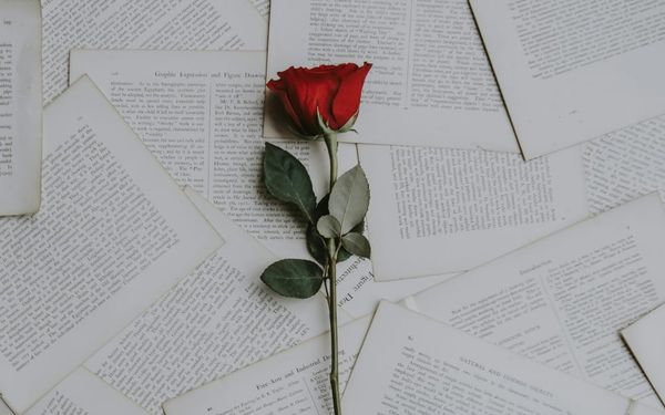 How to Guard Against Having an Affair (Proverbs 5)