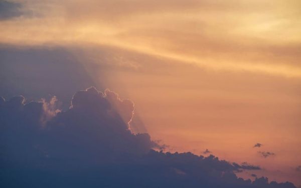 Where Did Wisdom Come From? (Proverbs 8)