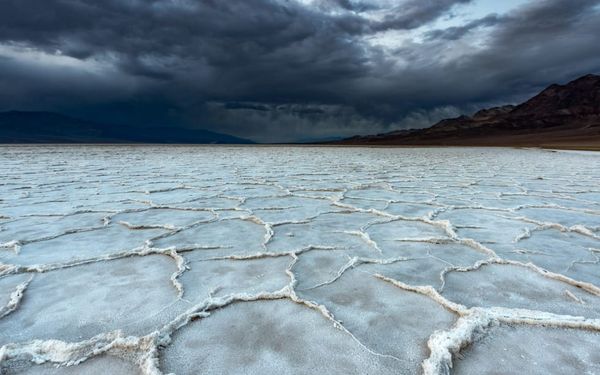 What Do You Do When Joy Turns to Bitterness? (Ruth 1)