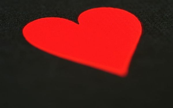 We Are the Home of God (1 Kings 5-7 & 2 Chronicles 2-4)