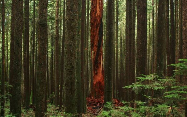 You’re Special, Just Like Everyone Else (Jeremiah 1-10)