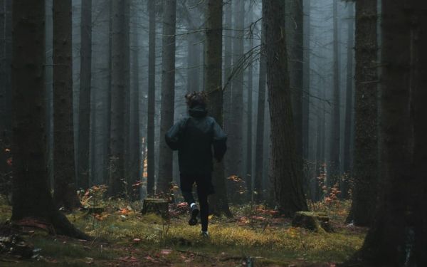 What Fear Taught Me About My Faith (Psalm 55-58)