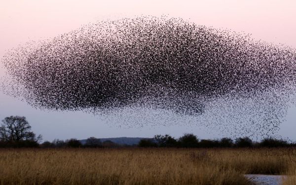 How Does God Redeem My Wasted Years? (Joel 1-3)