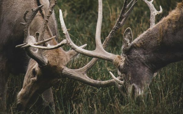 How Do I Battle Against Envy? (Proverbs 24)