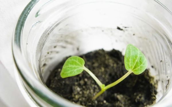 The Two Things Every Person Needs (Ezekiel 25-36)