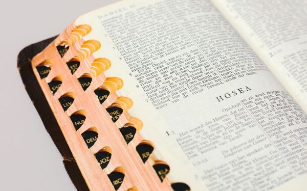 What If God Asked You to Do Something That Made No Sense? (Hosea 1-6)